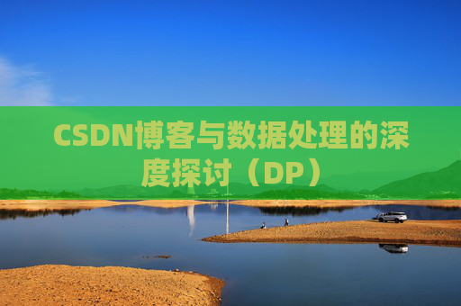 CSDN博客与数据处理的深度探讨（DP）